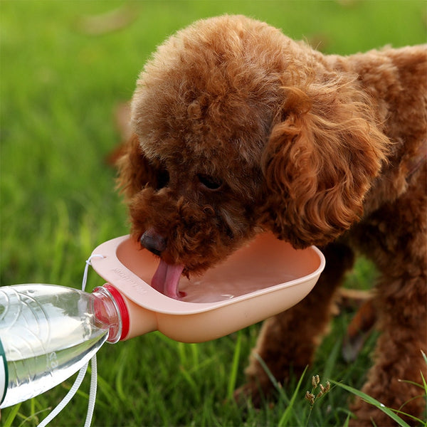 Tragbare Wasserflasche für Hunde und Katzen